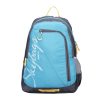 Skybags 25 ltrs Casual Backpack